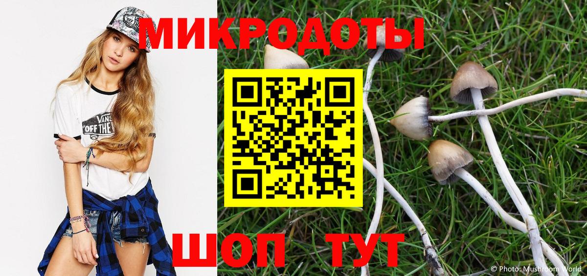 Зеленогорск  купить  сайты  Вход с VPN  Псилоцибиновые грибы Psilocybe 